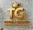 logo tetris group