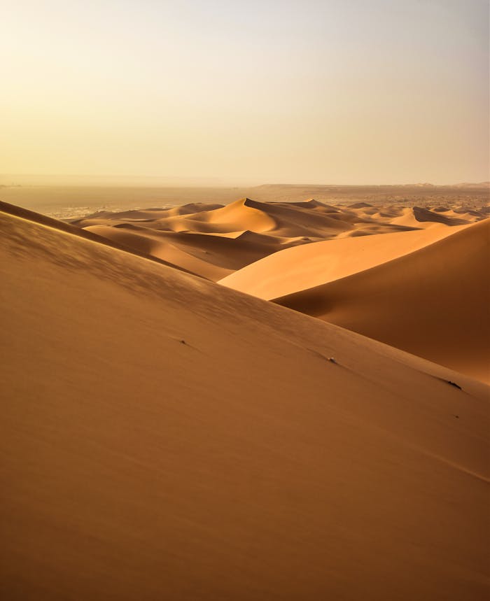 Stunning view of golden sand dunes under a serene sunset in the Algerian Sahara Desert.